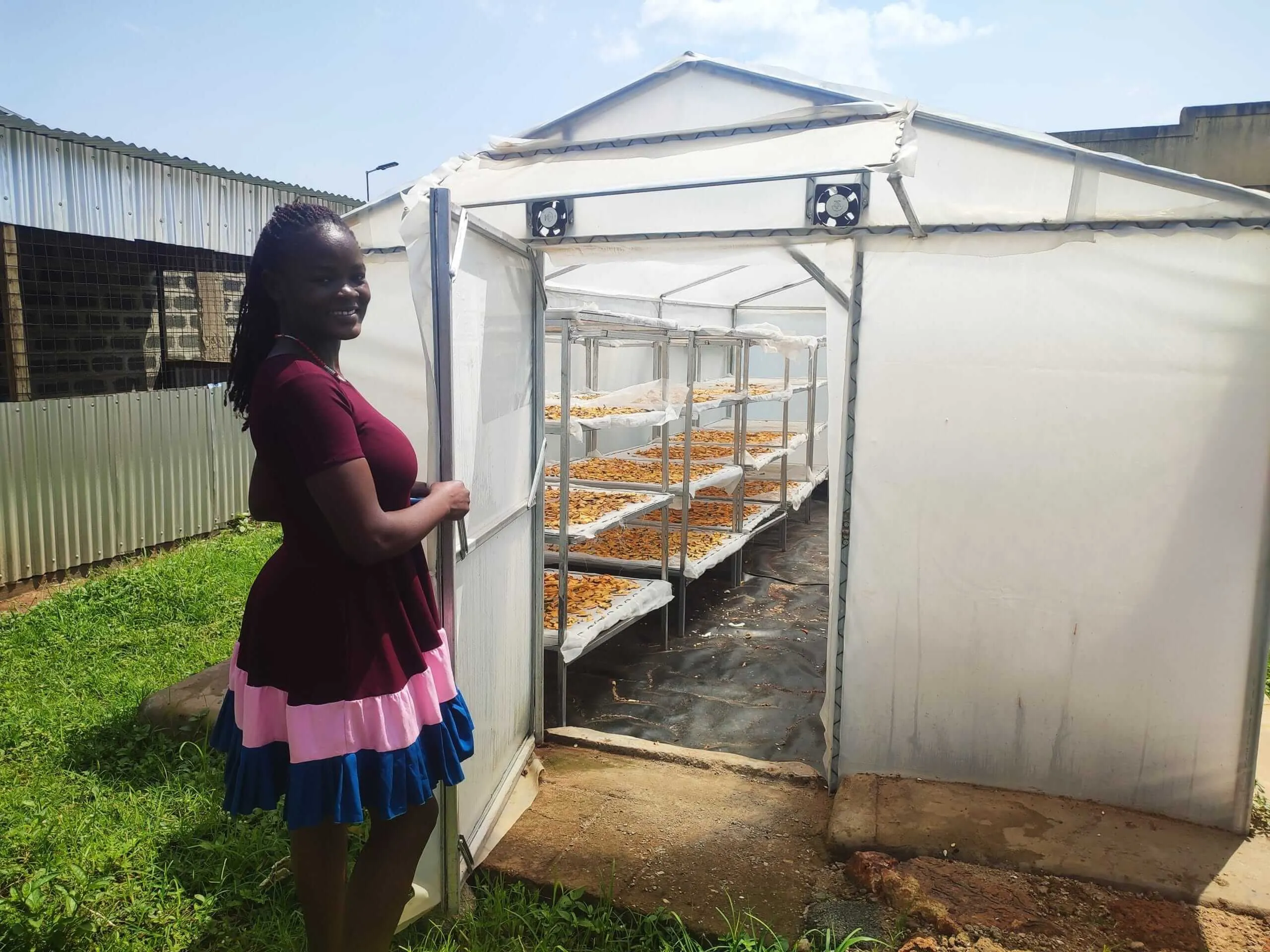 Woman opening a solar-powered dryer filled with tiered racks of drying produce in Busia, Kenya