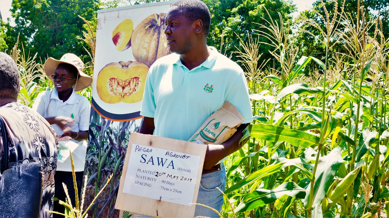 AGMARK field team member holding a bag of SAWA hybrid maize seed beside a variety demonstration sign at a Coast region field day