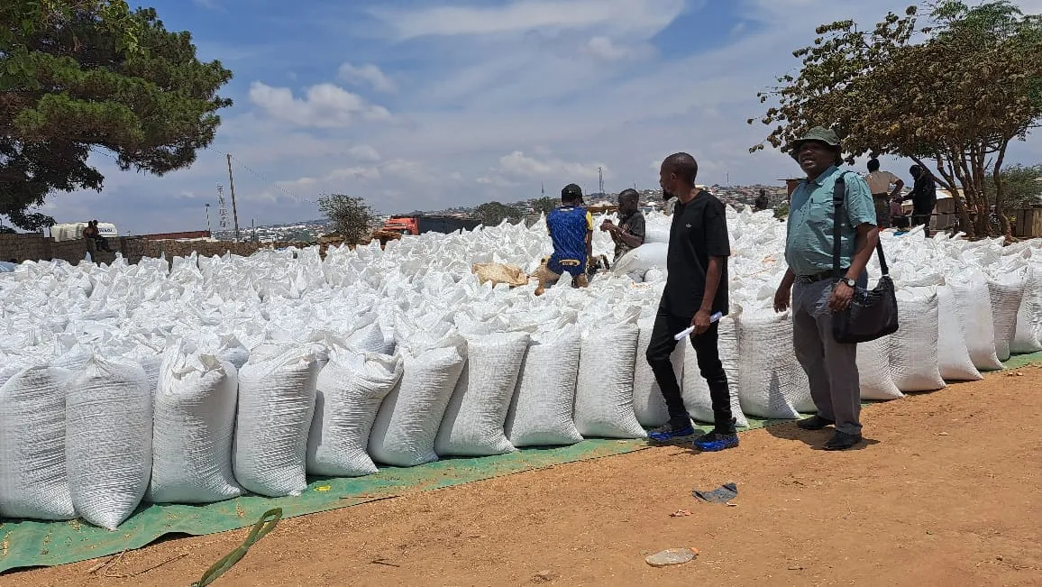 Rows of white grain sacks laid out in an open-air market near the Tanzania-Zambia border