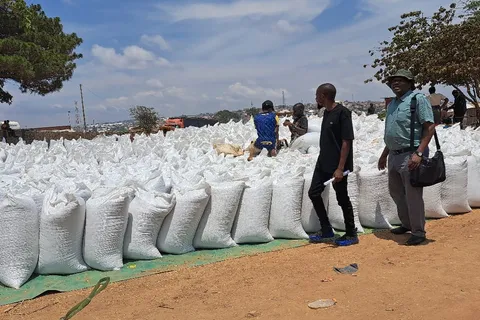 Rows of white grain sacks laid out in an open-air market near the Tanzania-Zambia border