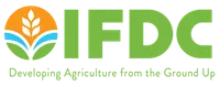 IFDC