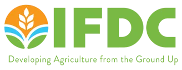 IFDC