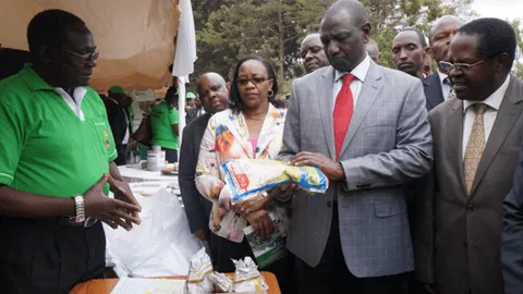 Government officials examining a seed product package at a Kenya Cereal Enhancement Program event