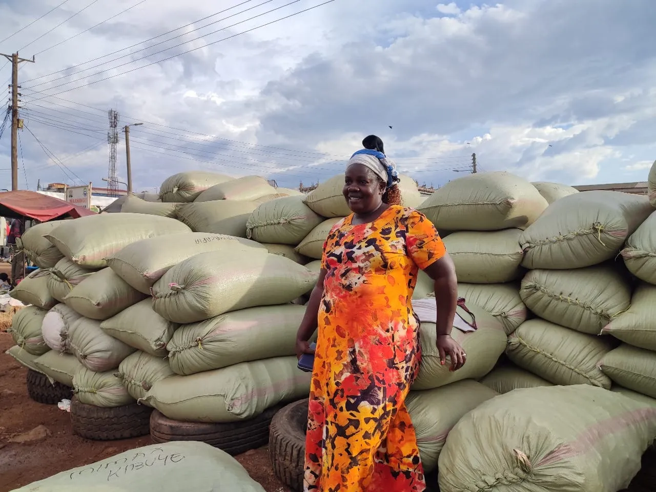 Resilient Women Traders at the Busia Border