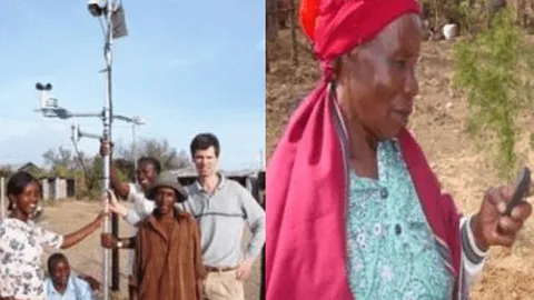 Split image of a rural automated weather station and a woman checking crop insurance information on her mobile phone