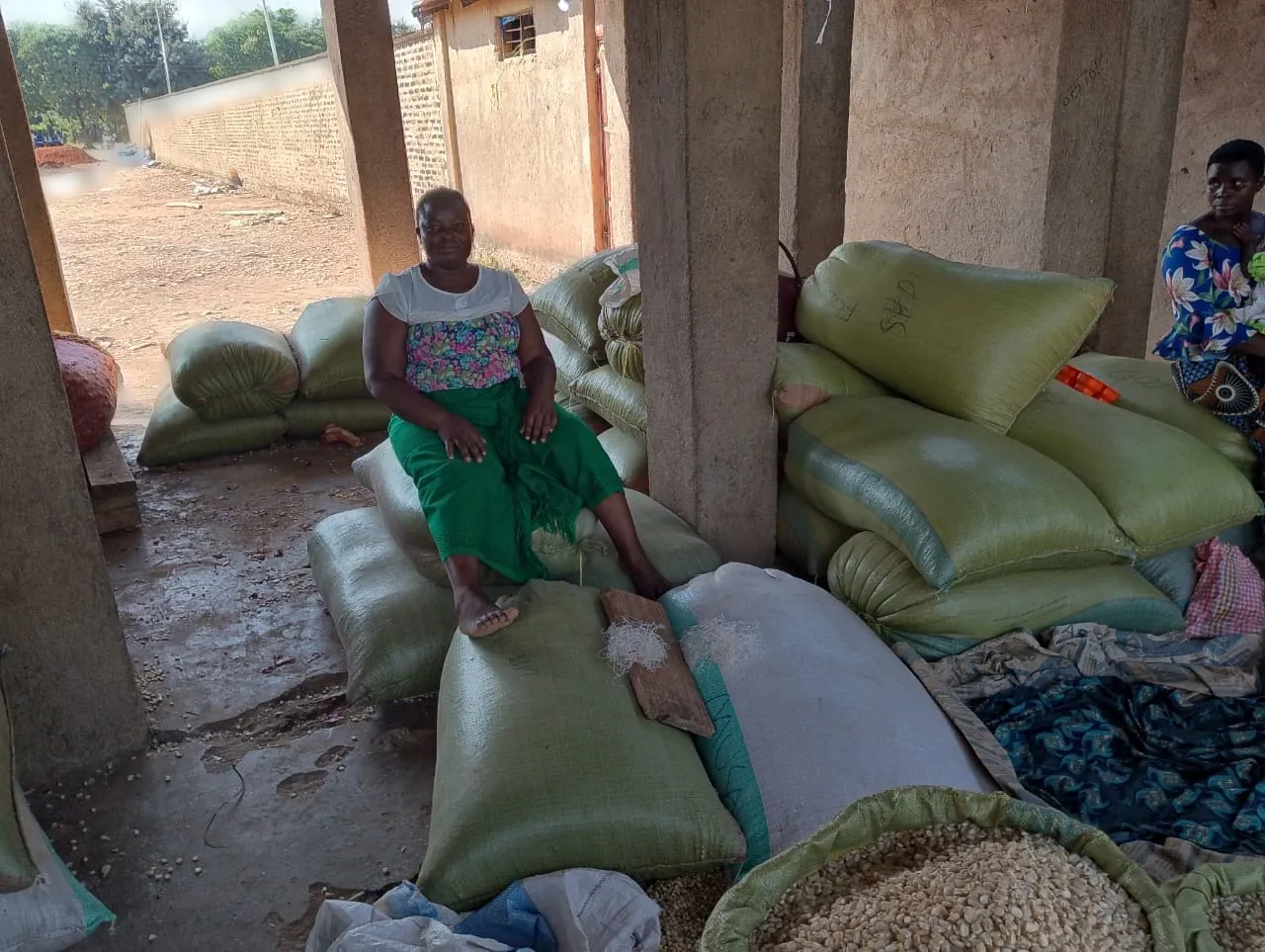 AGMARK news highlights woman in grain storage in African market setting; rustic space with natural light and colorful clothing