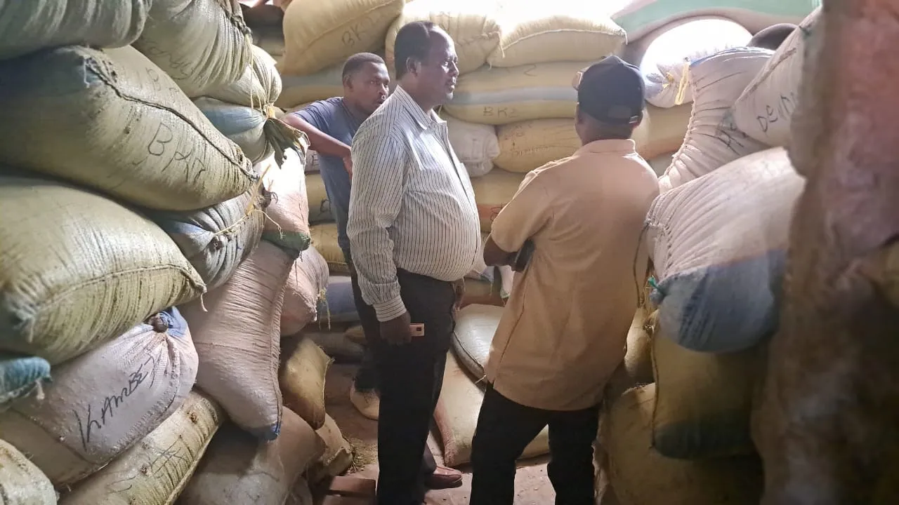 Group of three men inspecting sacks in a storeroom, documenting trade volumes and youth employment in warehouse setting