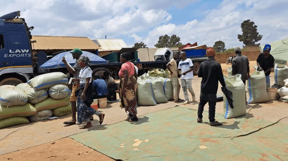 A Grain Aggregation and Loading Center at Nakonde Market, Zambia