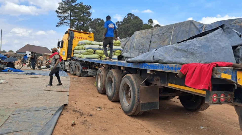 Loading Grain onto A Truck at the Nakonde Grain Loading Zone, Zambia