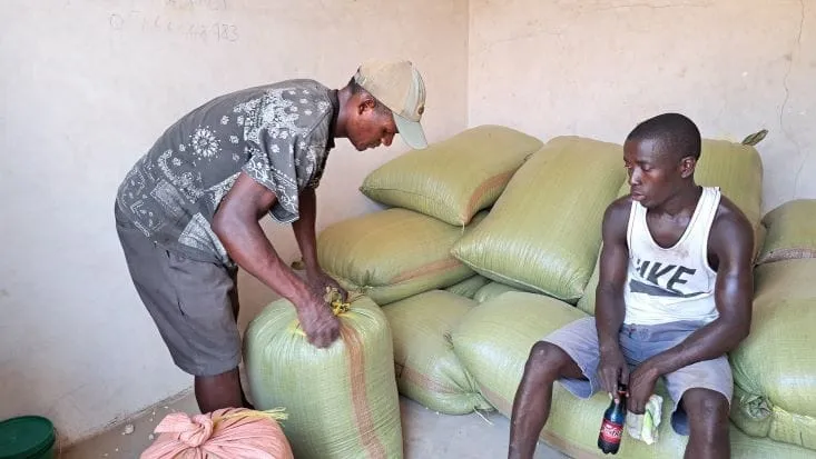 A youth employed as a transporter packaging maize into sacks at the Kasumulu border point in Tanzania | Youth Trade