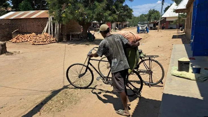 A transporter pushing a loaded bicycle en route to the Songwe border point in Malawi | Youth Trade