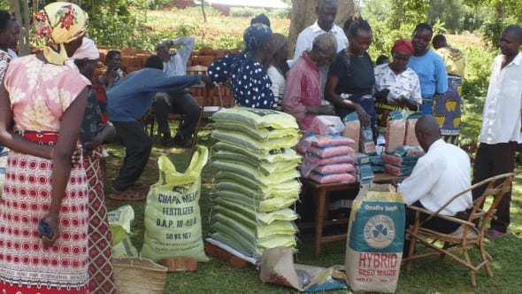 People in colorful attire exchange goods around tables filled with 'Chapa Meli Fertilizer' and seeds at an AGMARK gathering in rural Western Kenya, part of smallholder productivity work