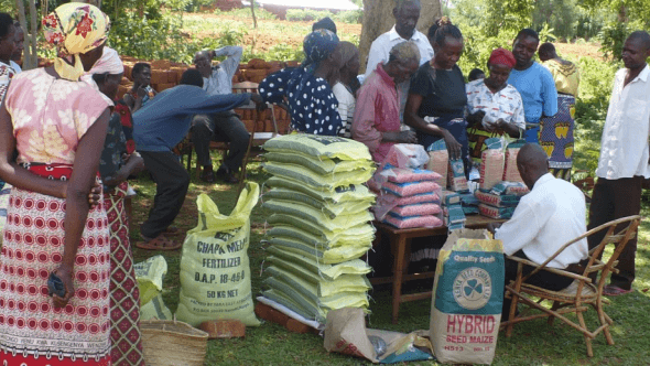 People in colorful attire exchange goods around tables filled with 'Chapa Meli Fertilizer' and seeds at an AGMARK gathering in rural Western Kenya, part of smallholder productivity work