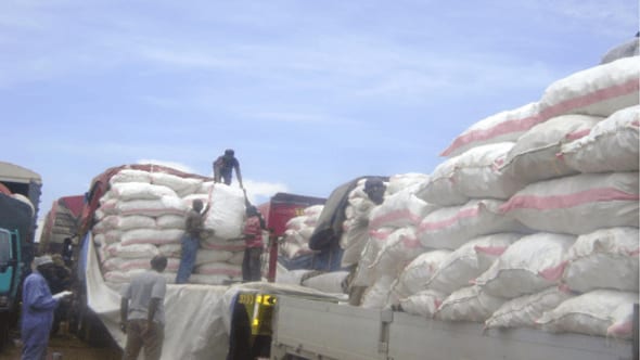 Agrodealers trade across borders Africa ATAB; trucks laden with red-striped sacks, workers arranging cargo under a sunny sky
